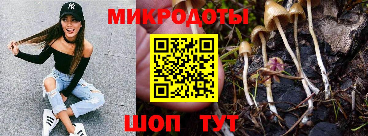 Галлюциногенные грибы мухоморы  Псилоцибиновые грибы GOLDEN TEACHER  наркошоп  Лесосибирск  Вход с VPN 